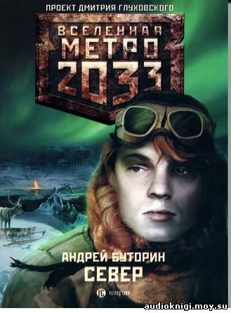 Андрей Буторин - Метро 2033. Север